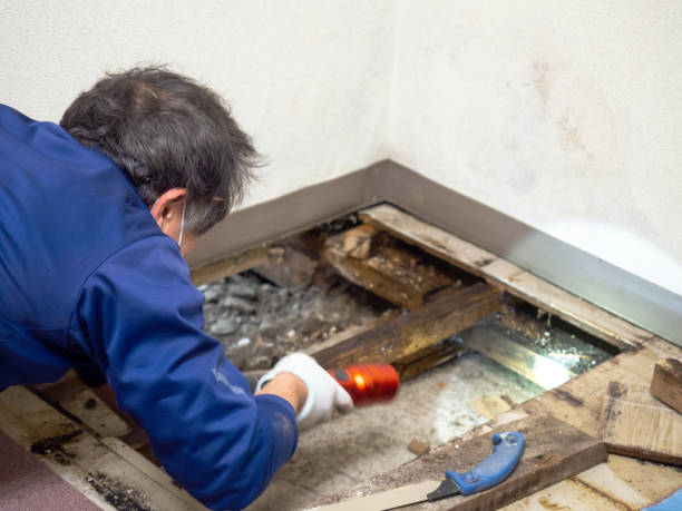 Crawl Space Mold Removal in Cherokee Village, AR