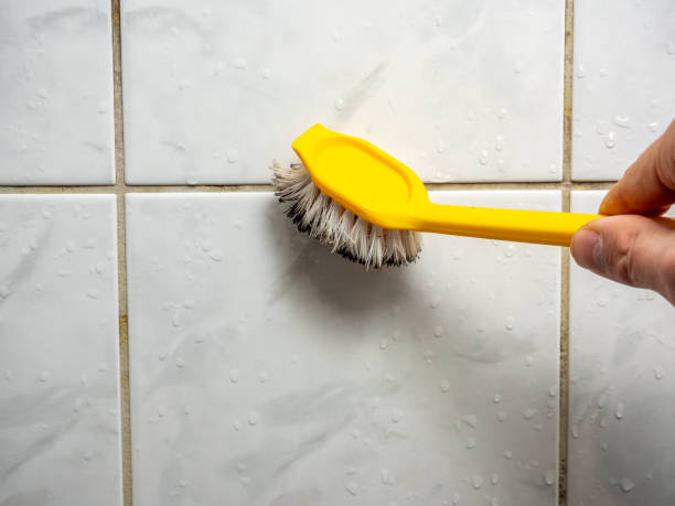 Best Certified Mold Removal  in Cherokee Village, AR