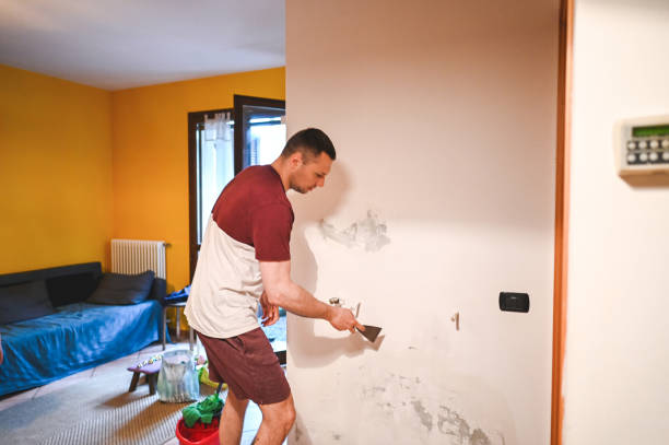 Best Mold Removal and Inspection  in Cherokee Village, AR